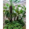 EXQUISITE GARDENS <BR> AROUND THE WORLD <BR> DIGITAL - imagine 9