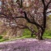 EXQUISITE GARDENS AROUND THE WORLD - imagine 6